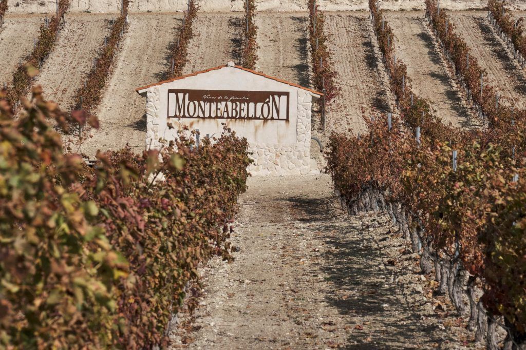 Vistas Viñedos Monteabellon